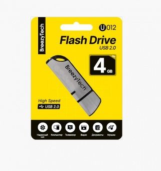 USB флэш-диск BreezyTech U012 (4GB) цвет: черный