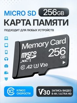 Карта памяти Memory Card  256GB Class 10 (без адаптера)