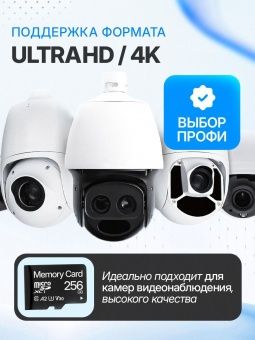 Карта памяти Memory Card  256GB Class 10 (без адаптера)