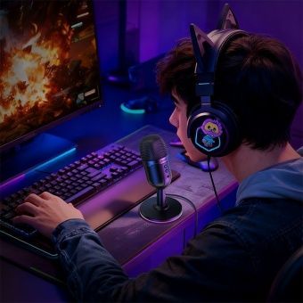 Микрофон настольный Hoco L25 USB цвет: черный