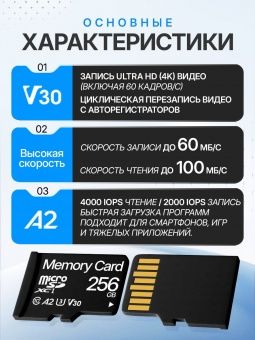 Карта памяти Memory Card  256GB Class 10 (без адаптера)